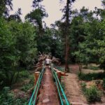 An adventure through the Forest and Palace of Bussaco - Coim - The Magnificent Bussaco Palace Hotel