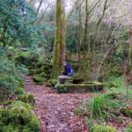 An adventure through the Forest and Palace of Bussaco - Coimbra - Visiting the Palace Hotel and Its Gardens