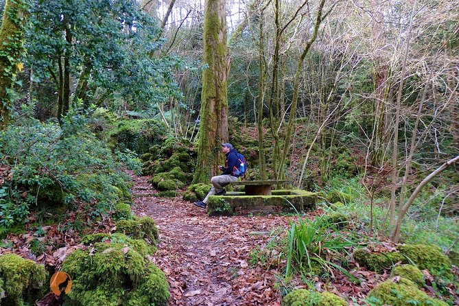 An adventure through the Forest and Palace of Bussaco - Coimbra - Visiting the Palace Hotel and Its Gardens