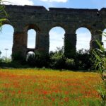 Ancient Appian Way and Roman Countryside E-Bike Tour - Practical Details and Logistics