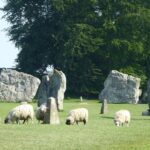 Ancient Britain Tour - Private Day Trip from Bath - West Kennet Long Barrow: A Chambered Tomb Over 5,600 Years Old