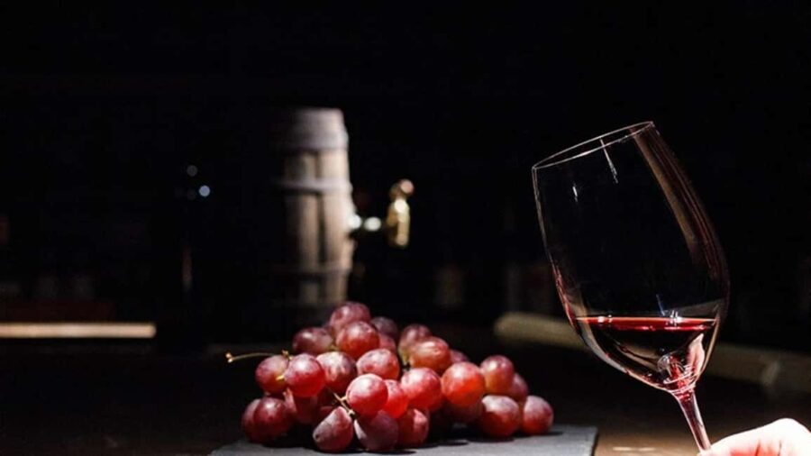 Ancient Olympia: Agrotourism tour, honey, wine, and oil tasting. - Exploring the Ancient Olympia Archaeological Site and Museum