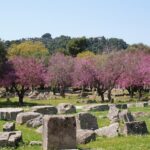 Ancient Olympia & Corinth Canal Private Tour from Athens - Discovering Ancient Olympia’s Ruins and Sacred Sites
