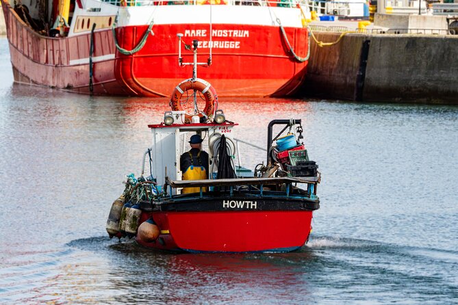 Ancient Paths of Howth Village with a Local and his Dog - Visiting the Iconic Howth Lighthouse