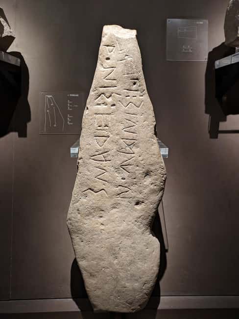 Ancona: National Archaeological Museum Private Guided Tour - Exploring Picene Settlements and Necropolises