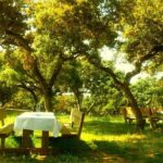 Andalucia Bull and Horse Farm and Ronda Private Tour from Malaga - Savor Wine and Tapas at the Farm