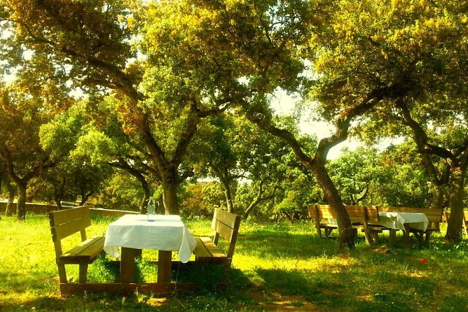 Andalucia Bull and Horse Farm and Ronda Private Tour from Malaga - Savor Wine and Tapas at the Farm