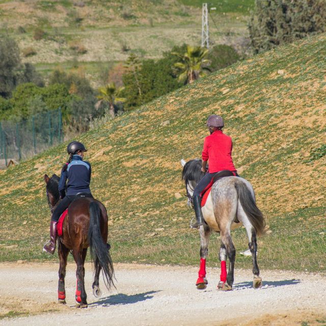 Andalucia: Horse Riding Tour with Picnic - Discovering Andalusia’s Rural Charms from Horseback