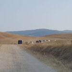 Andrea Bocelli concert LAJATICO Limousine Service from Florence - How the Transportation Service Operates in Florence