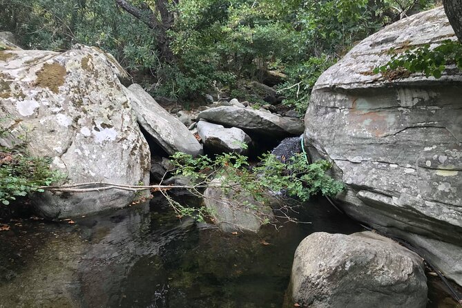 Andros Full Day Sightseeing Tour - Exploring Kato Aprovatou and Palaiopoli