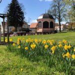 Anecdotal tour through Bad Frankenhausen - The Significance of Bad Frankenhausen Castle