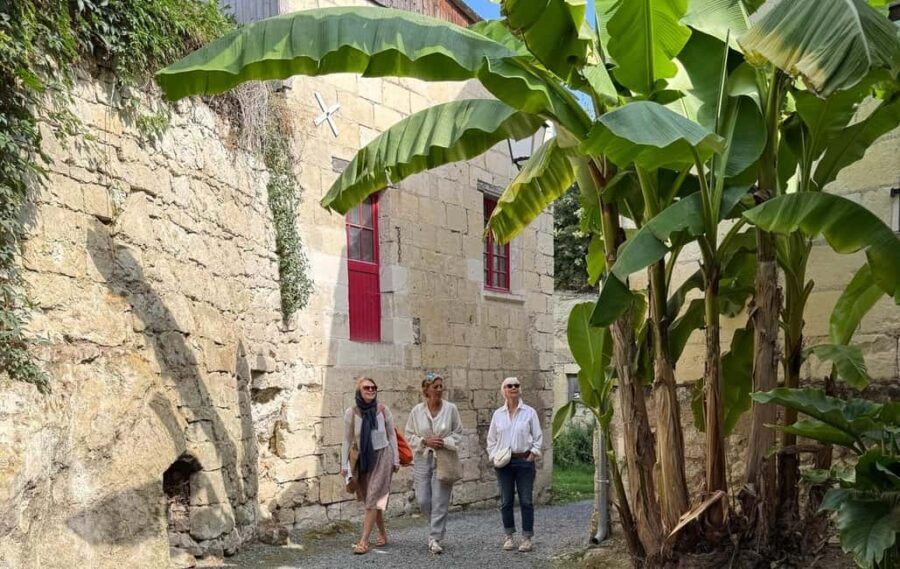 Anjou: Discovery by Vintage Car with a Local Guide - Starting Point and Private Group Experience