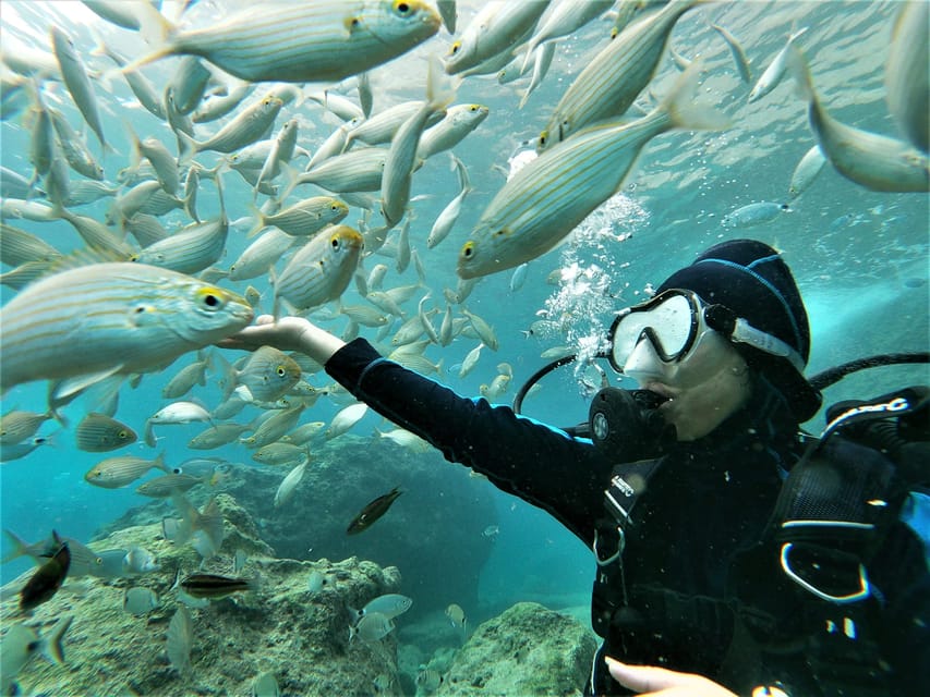 Antalya and Kemer: Full Day Scuba Diving Tour with Lunch - Meeting Point and Accessibility in Kemer