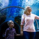 Antalya: Aquarium and Wax Museum Entry Ticket - The Antalya Aquarium’s Unique Sea Tunnel and Marine Life Displays