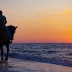 Antalya Horse Riding On Beach And Through The Forests For 2 Hours - Scenic Ride Along Lara Beach’s Sandy Shores