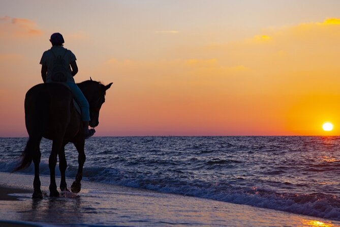 Antalya Horse Riding On Beach And Through The Forests For 2 Hours - Scenic Ride Along Lara Beach’s Sandy Shores