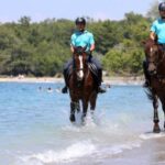 Antalya Horse Safari - Starting Point and Tour Logistics in Antalya