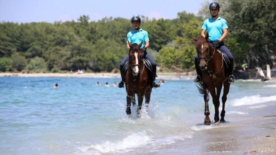 Antalya Horse Safari - Starting Point and Tour Logistics in Antalya