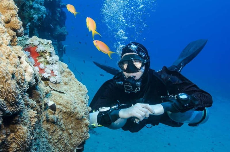 Antalya/Kemer: Scuba Diving Experience with 2 Dives & Lunch - Dive Sites: Aquarium Bay and Paradise Reef Offer Clear Waters and Marine Life