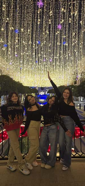 Antalya: Land of Legends Night Show & Aspendos Bridge - Who Will Enjoy This Tour Most?