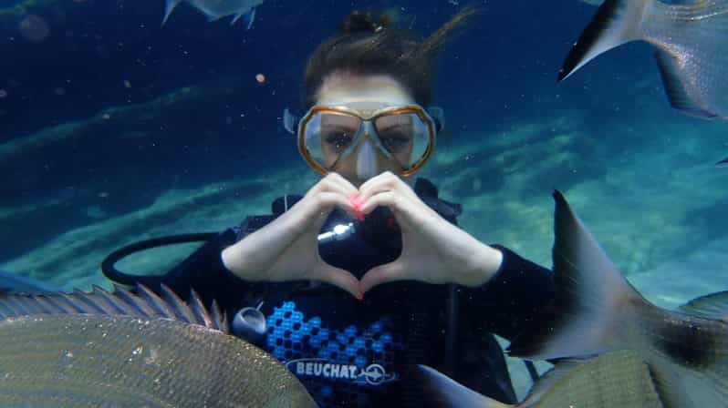 Antalya Scuba Diving Tour, With Lunch & Return Transfers - Departure and Pickup from Antalya Hotels