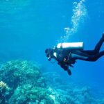 Antalya Scuba Diving With Transfer From Belek,Lara,Kemer Hotels - Marine Wildlife Encounters in the Kemer Region