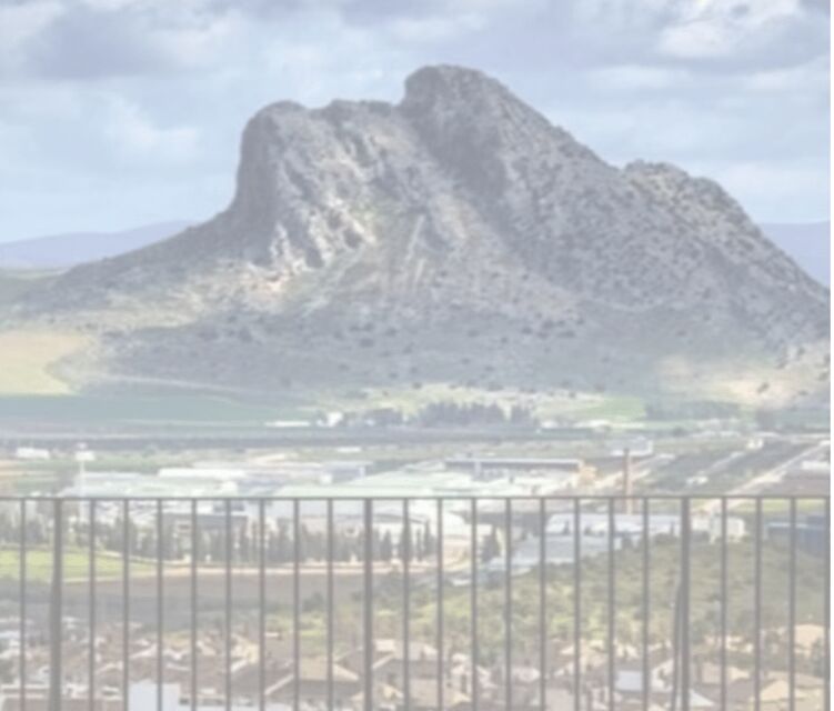 Antequera : Historic Center Walking Tour - Crossing the Arco de los Gigantes and Visiting Santa María’s Colegiata