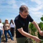 ANTICA ENOTRIA: CELLAR TASTING OF WINES AND PRESERVES - Discovering the Vineyard and Winemaking Process