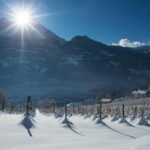 Aosta Valley: Visit and wine tasting at the Grosjean winery - Start at the Grosjean Family’s Cellar in Ollignan