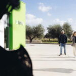 Apulia: oil tour, from field, to bottle, to food matching - Visiting the Olive Groves: From Land to Landmarks