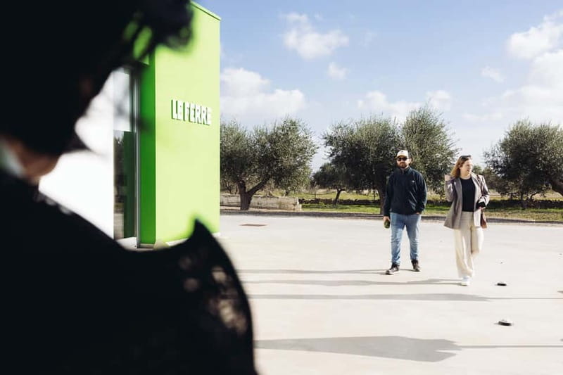 Apulia: oil tour, from field, to bottle, to food matching - Visiting the Olive Groves: From Land to Landmarks