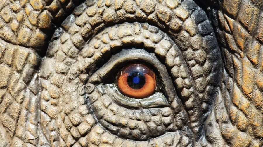 Aquarium of Cattolica Entry Ticket - Four Themed Indoor Routes for Diverse Exploration