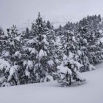 Aragonese Pyrenees: Building Igloos and Snow Caves - Exploring Valle de Tena or del Aragón