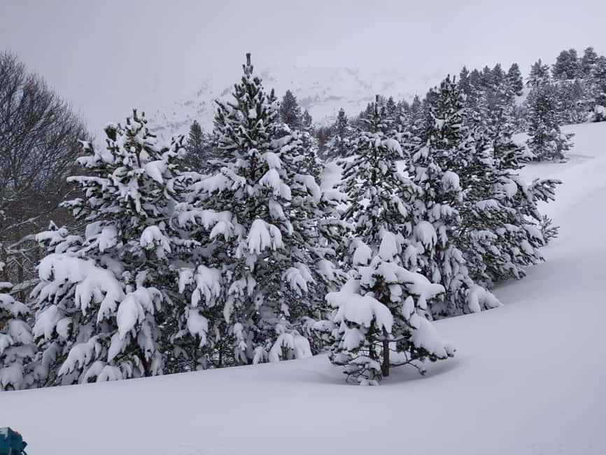 Aragonese Pyrenees: Building Igloos and Snow Caves - Exploring Valle de Tena or del Aragón