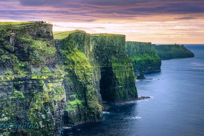 Aran Island, Cliffs of Moher & Cruise tour from Galway. Guided. - Exploring the Cliffs of Moher from Land and Sea