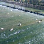 Aranjuez: City and Gardens Guided Walking Tour - Starting Point Outside Cafe de Damas in Aranjuez