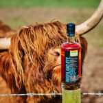 Arbikie Highland Estate: Whisky Tour and Tasting - Walking Through the Whisky-Making Process