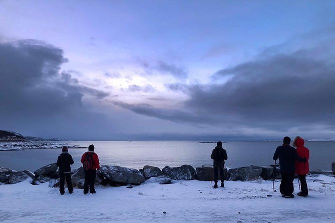 Arctic Coastal Walk - Scenic Highlights at Ausvika Strand