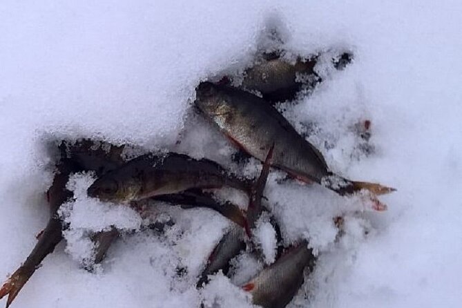 Arctic Day with Ice Fishing and Floating - Exploring the Remote Forests and Lakes of Finland