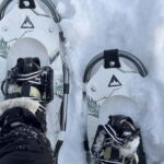 Arctic Gateway: Snowshoeing Expedition in Lapland - Journey to Lapland’s Untouched Snow Forests