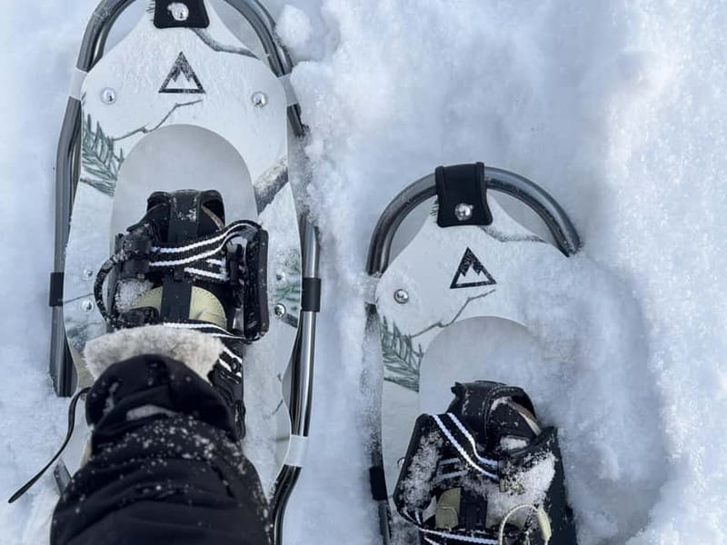 Arctic Gateway: Snowshoeing Expedition in Lapland - Journey to Lapland’s Untouched Snow Forests