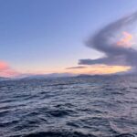 Arctic Whale Watching: Tromsø to Skjervøy in Comfort - Wildlife Encounters: Whales in the Arctic