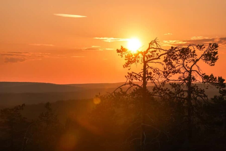 Arctic Wilderness Hike from Rovaniemi (Day & Evening) - Exploring Lapland’s Landscape in All Seasons