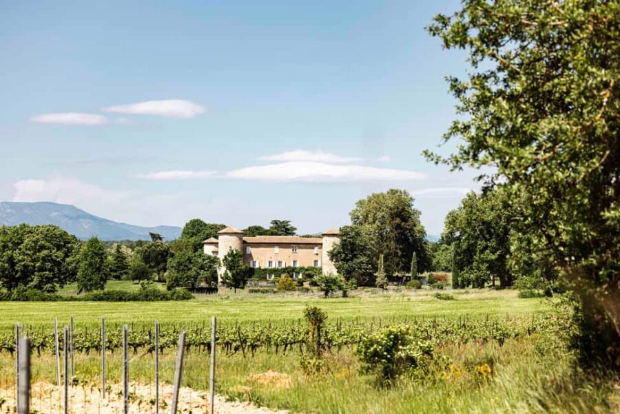 Ardèche: guided tour of our wine estate with tasting - Guided Tour of the Ardèche Vineyard and Estate