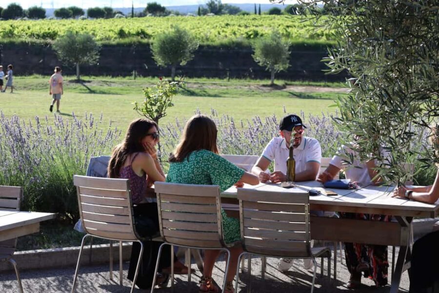 Ardèche: Tour and tasting of wines aged in amphorae and barrels - The Modern Cellar Housing Over 600 Barrels and 66 Amphorae