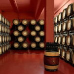 Arezzo Experience: Winery Tour and Wine Tasting - The Historic San Fabiano Estate: A Family Legacy