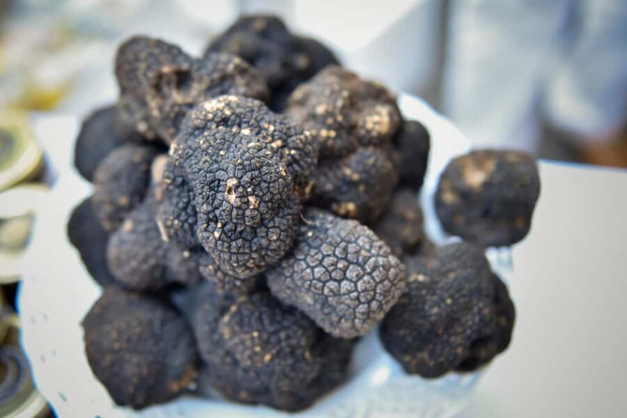 Arezzo: truffle hunting, tasting, cooking class with truffles. - Visiting the Truffle Processing Factory