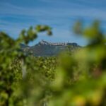 Arezzo: Val di Chiana Wine Tasting Experience - The Setting: An Ancient Tuscan Villa in Valdichiana