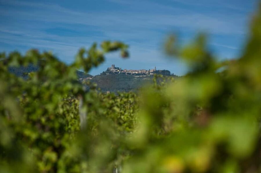 Arezzo: Val di Chiana Wine Tasting Experience - The Setting: An Ancient Tuscan Villa in Valdichiana