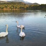 Argostoli and Beyond: A Journey through Villages - The Saint Theodoroi Lighthouse and Coastal Views